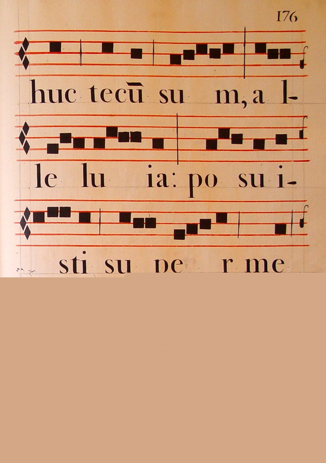 DSC02079_Resurrexi_02