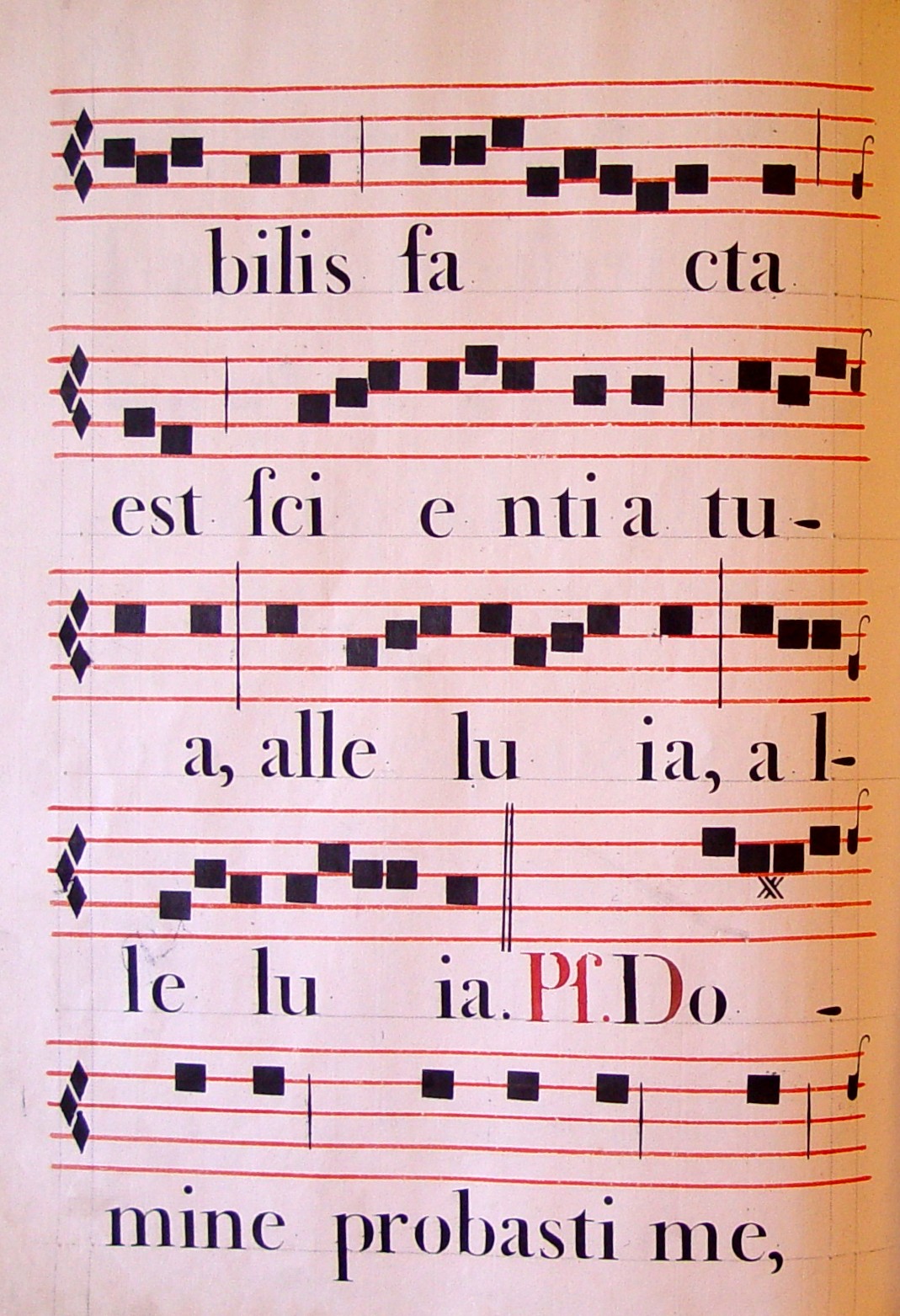 DSC02079_Resurrexi_03