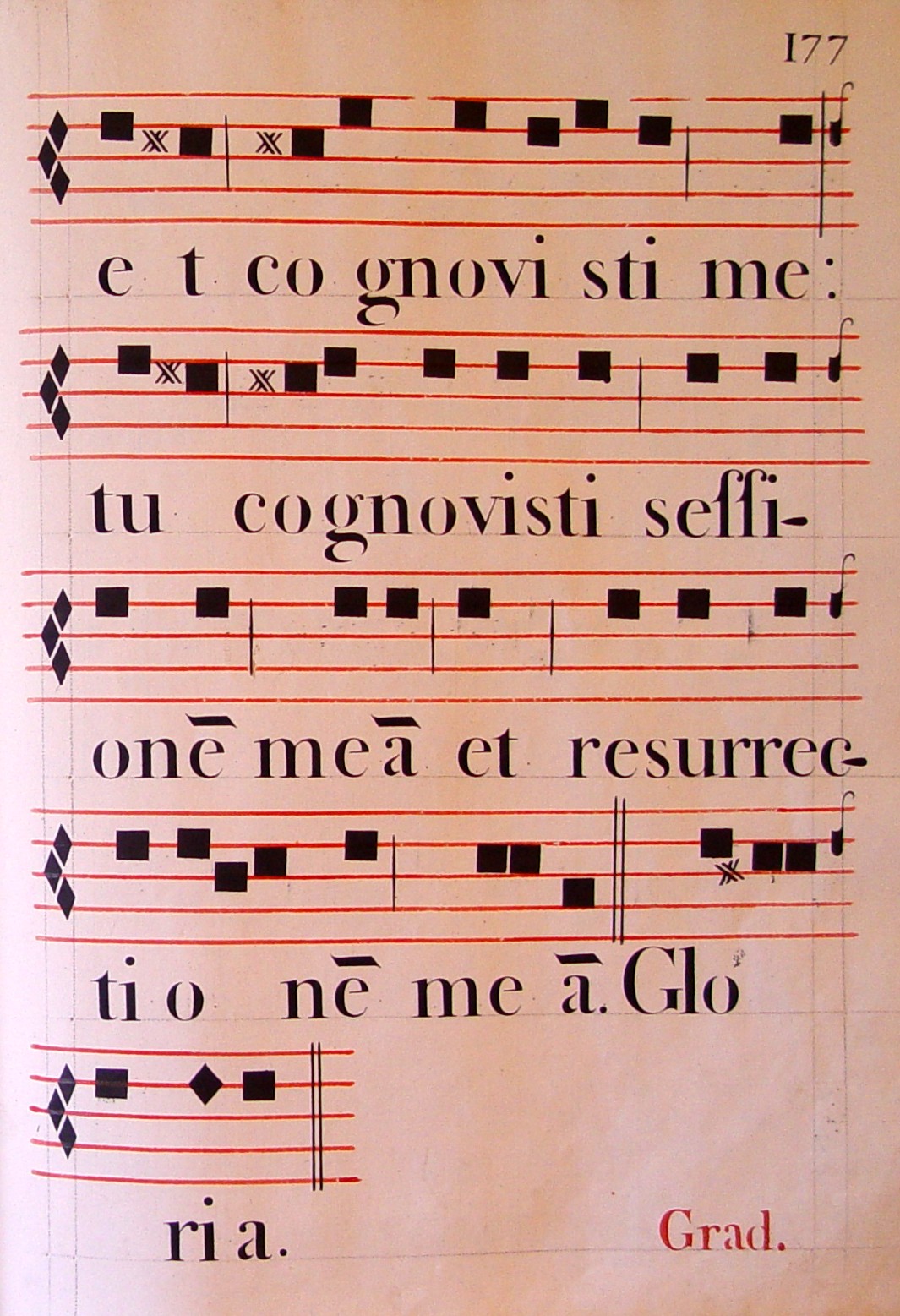 DSC02079_Resurrexi_04